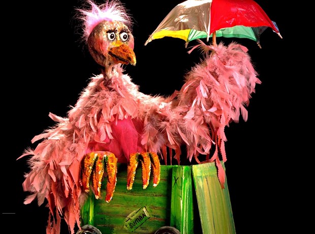 De Parapluvogel