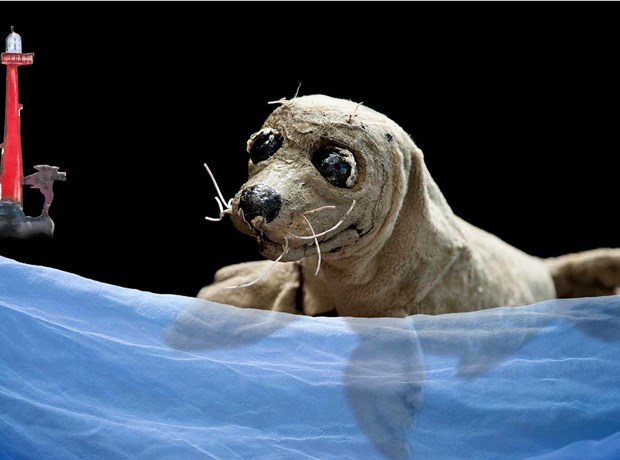 Swaffie de Zeehond